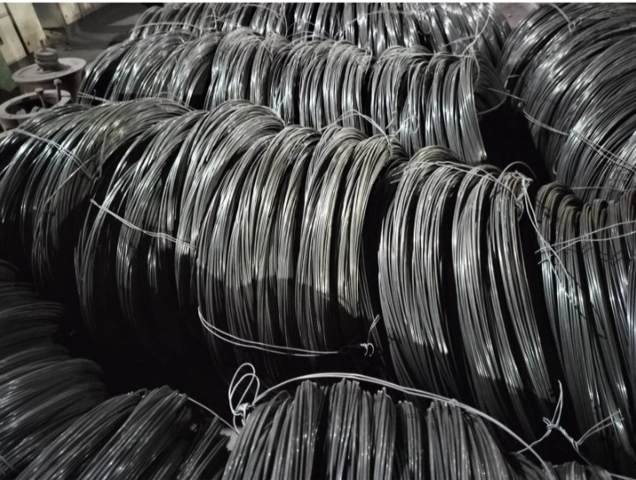 WhatsApp Image 2025-09-15 at 1.50.23 PM