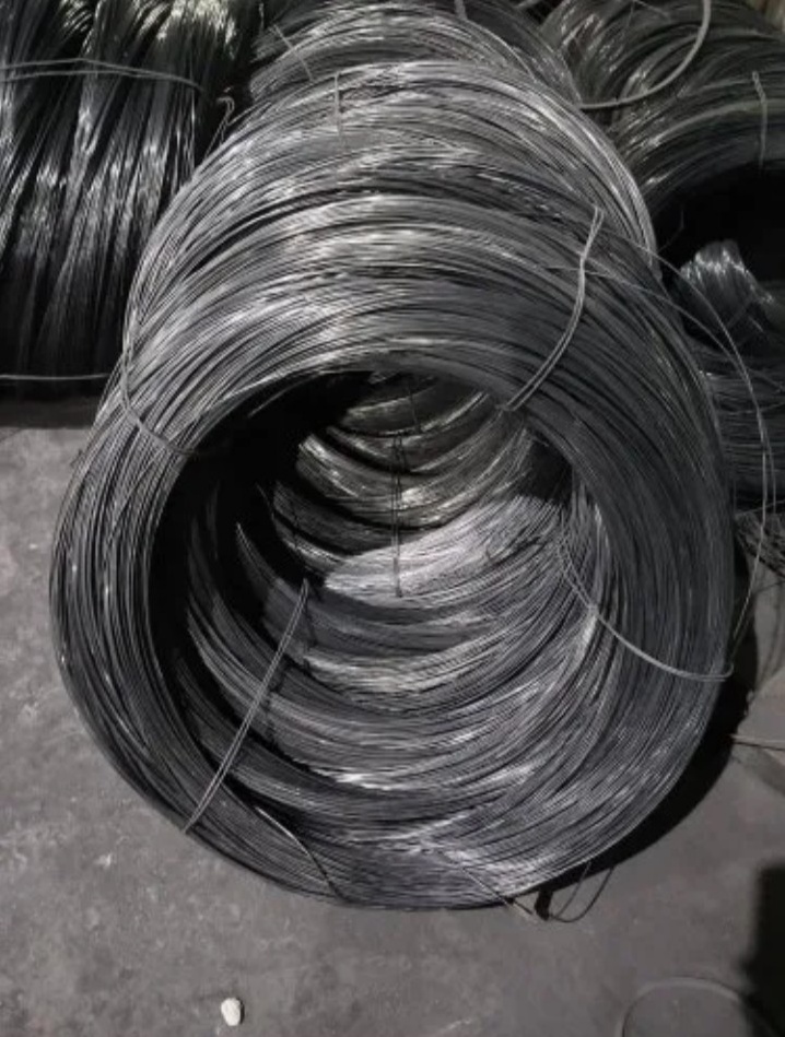 WhatsApp Image 2025-09-15 at 1.50.24 PM